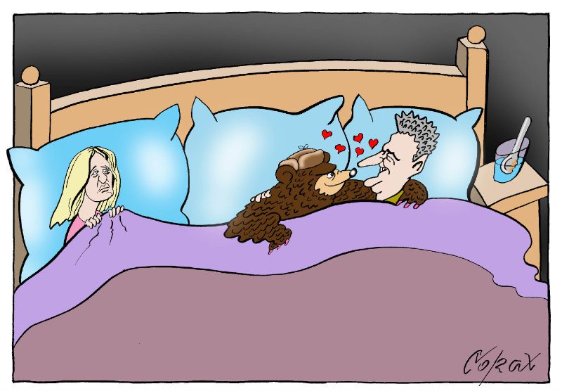 Corax 5