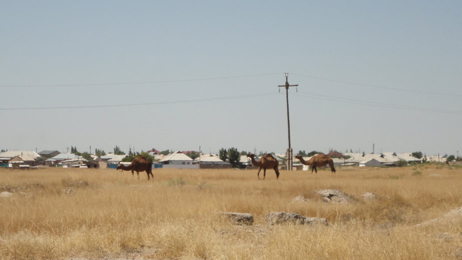 Družinino: Vozovi uvek stižu 1