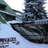 Rasprodani aranžmani na Zlataru 14