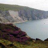 Velika Britanija: Zanimljiv zabavni park 14