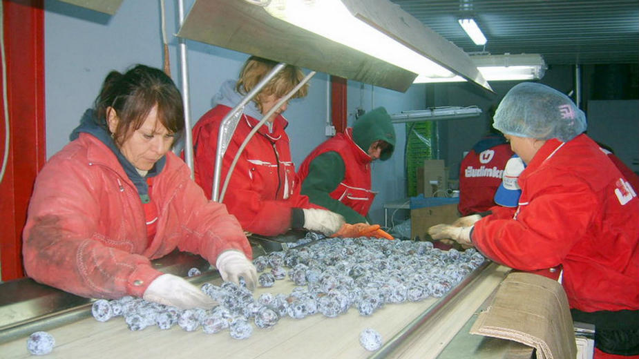 Zbog čega Sud štiti Pankomerc 1