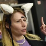 Kako to izgleda kad mačka načulji uši 1