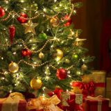 Zašto kitimo jelku za Novu godinu? 14