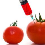 GMO kao uslov 14
