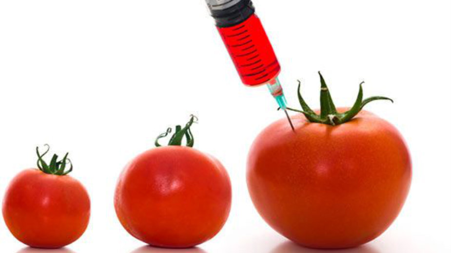 GMO kao uslov 1