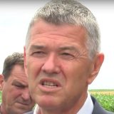 Petar Matijević: Herkul srpskog svinjarstva 15