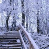 Danas zvanično počinje zima 11