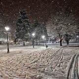 Taksi prevoz do škole i nazad do kuće 8