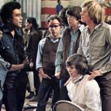 Mišljenje o jagodama 15