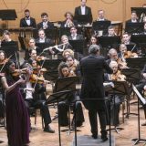 Elegantni virtuozitet 13