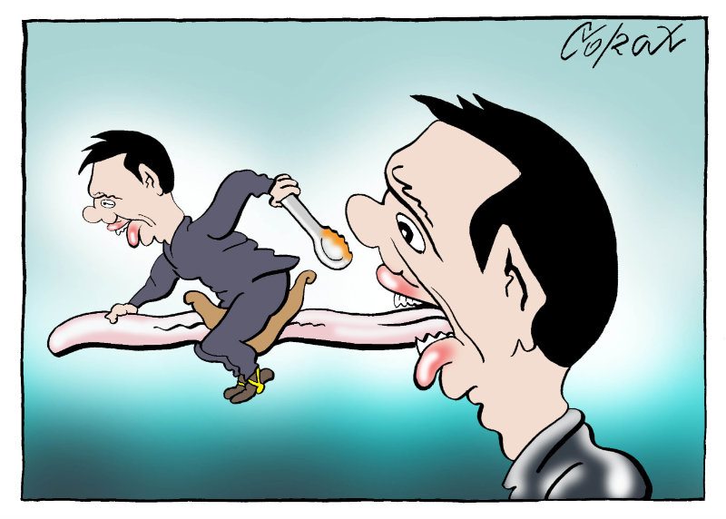 Corax 6