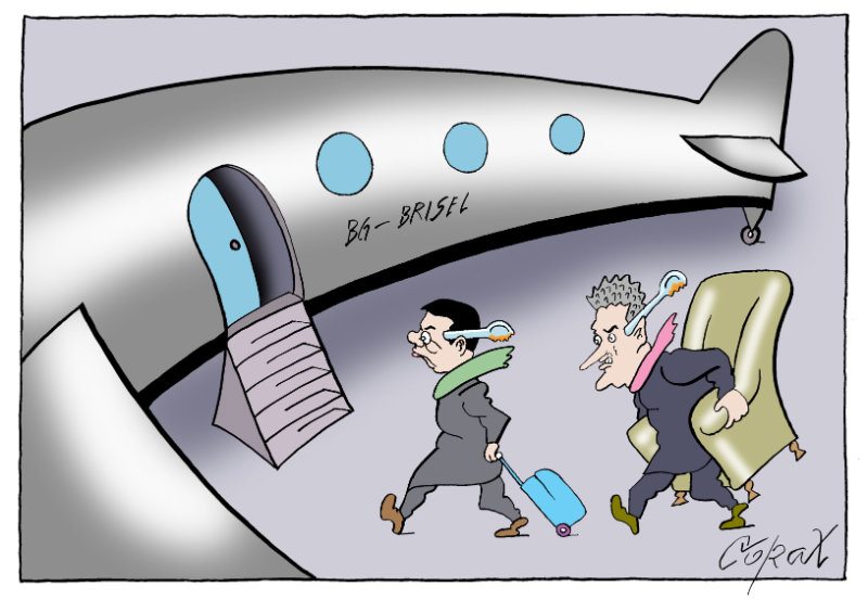 Corax 6