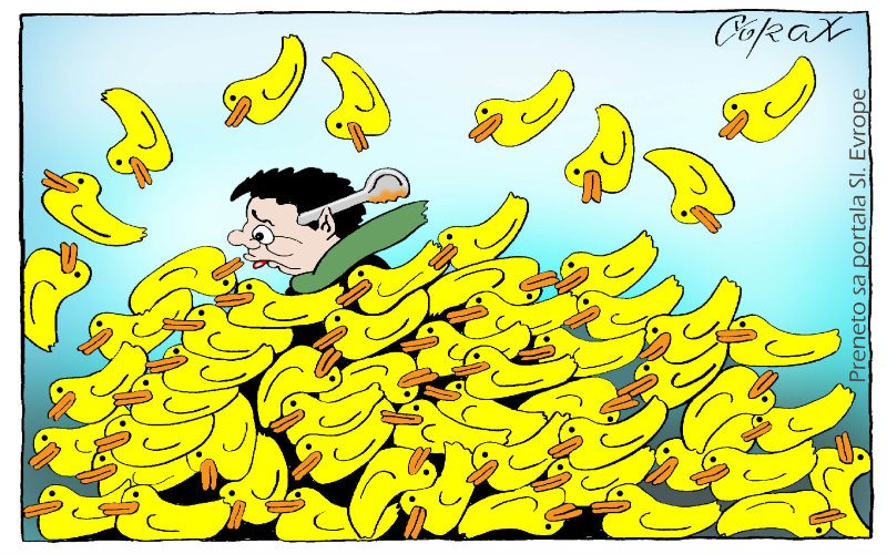 Corax 12