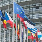 Odlučujuća godina za Evropu 8