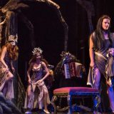 Sedam nagrada na 15 festivala 4