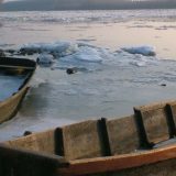 Oslobođen manji ledolomac 3