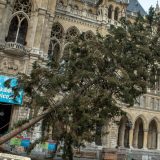 Novogodišnje jelke za dobijanje struje 13