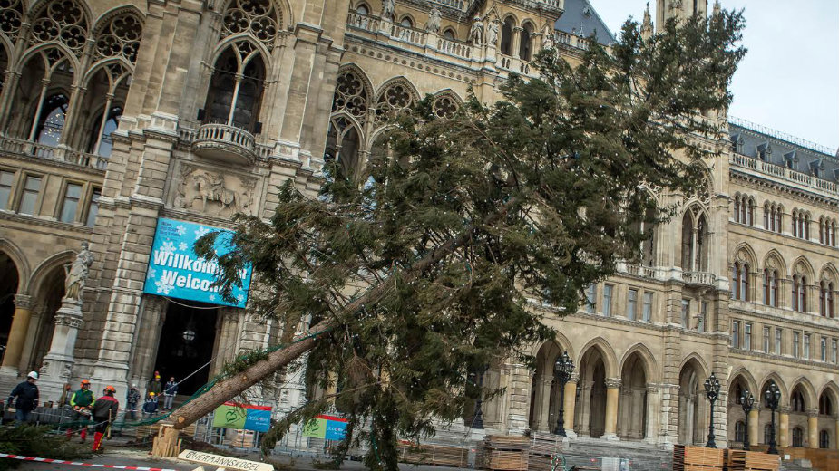 Novogodišnje jelke za dobijanje struje 1