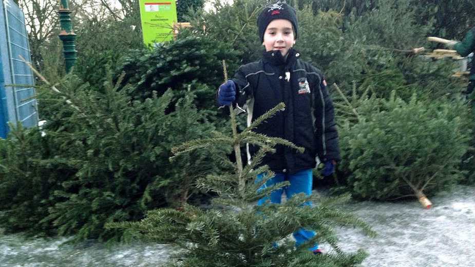 Novogodišnje jelke za dobijanje struje 2