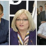 Ko je u trci za budućeg lidera SNS? 13