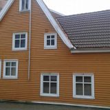 Norveška: Portret umetnika u mladosti 10