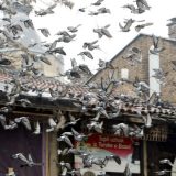 Završeni protesti veterana u Sarajevu, manja grupa ipak ne odustaje 6