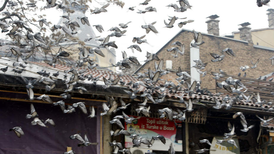 BiH: U poslednja 24 sata preminulo 11 i obolelo 345, cene PCR testova niže 1