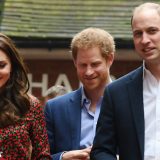 Princ Vilijam preuzima dužnosti 3