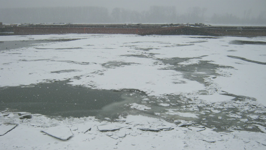 Stigla hrana i lekovi za meštane Bele stene 1