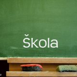 Produžen praznični raspust zbog gripa 14