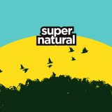 Supernatural festival 22. i 23. aprila na Adi Huji 4