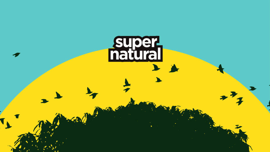 Supernatural festival 22. i 23. aprila na Adi Huji 1