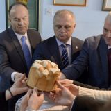 Šarčević: Inkluzija po tvrdom modelu 4