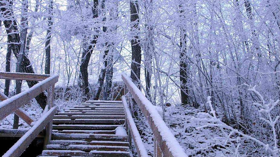 Leskovac najhladniji 1