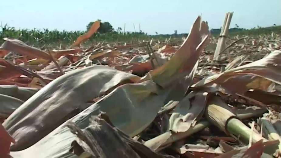 Postrojenje na biomasu donosi rekord 1