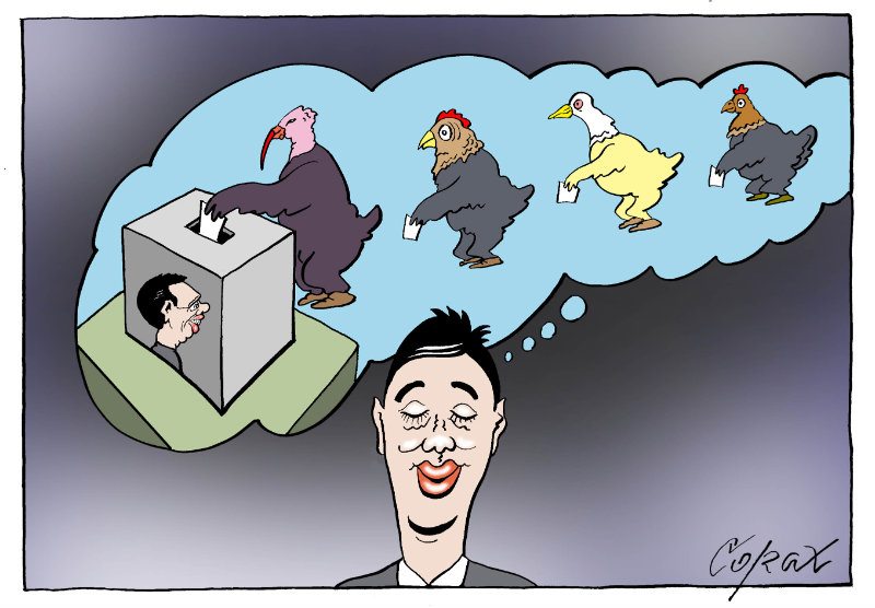 Corax 6
