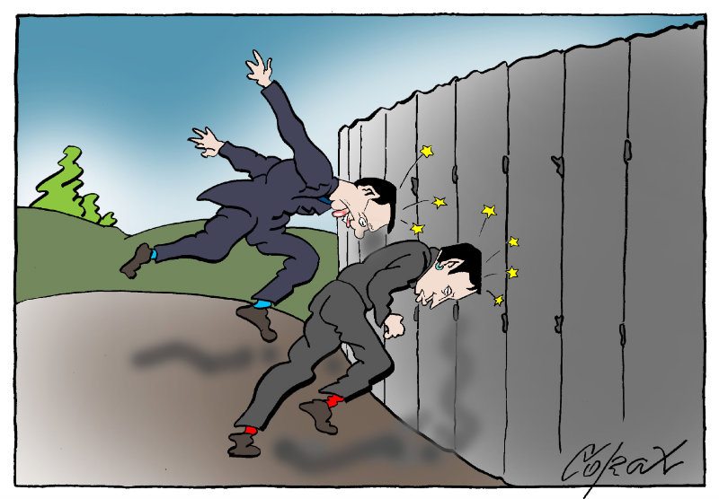Corax 8