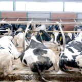 Matijević i Kostić se svaki za sebe bore za PKB 14