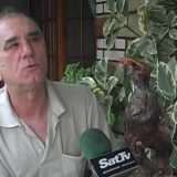 Tihomirova umetnost iz mraka 14