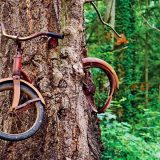 Političnost fondova za kulturu: Da li postoji izbor? 2