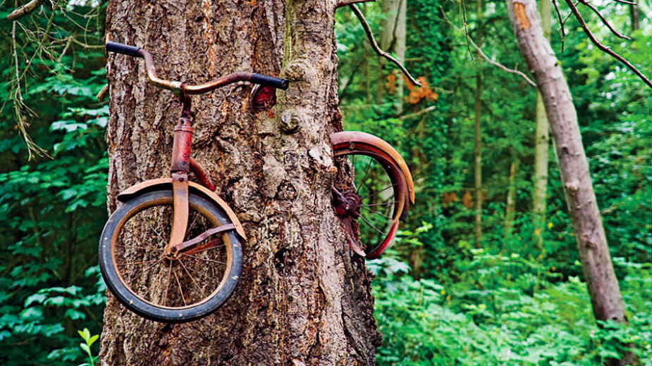 Političnost fondova za kulturu: Da li postoji izbor? 1