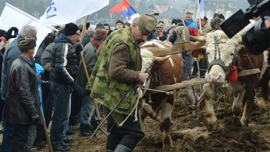 „Zlatiborska moba“ je borba za zaštitu državne imovine 2 „Zlatiborska moba“ je borba za zaštitu državne imovine 2