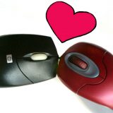 Da li bi Julija blokirala Romea? 3