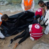 Desetine mrtvih na plaži 10