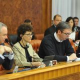 Vučić: Potrebno još mnogo rada 8