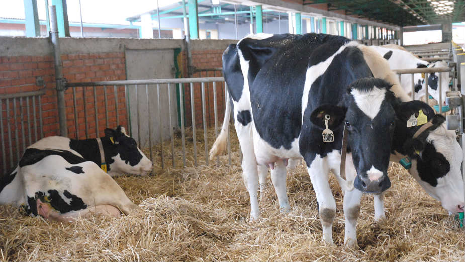 Državni dinar opterećuju posrednici 1