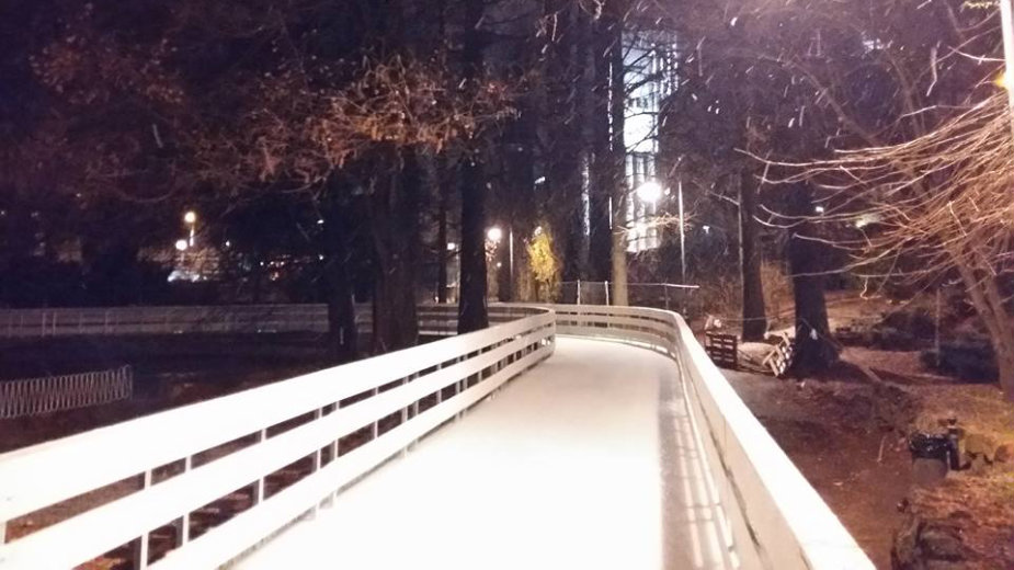 NS: Ledena šuma besplatna za đake 1 NS: Ledena šuma besplatna za đake 1