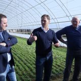 Gradonačelnik pozvao poljoprivrednike da se jave za subvencije 7