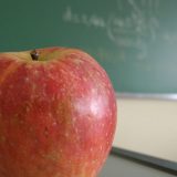 Praksa korisna, klasično školovanje ipak nužno 2