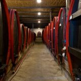 Drašković: Vratio sam vinograde Vršcu 6